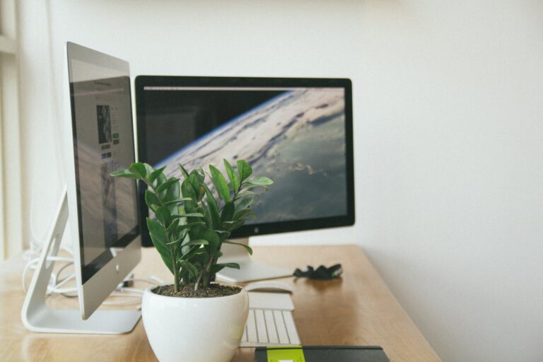 ফ্রিল্যান্সিং কত প্রকার ? Freelancing koto prokar