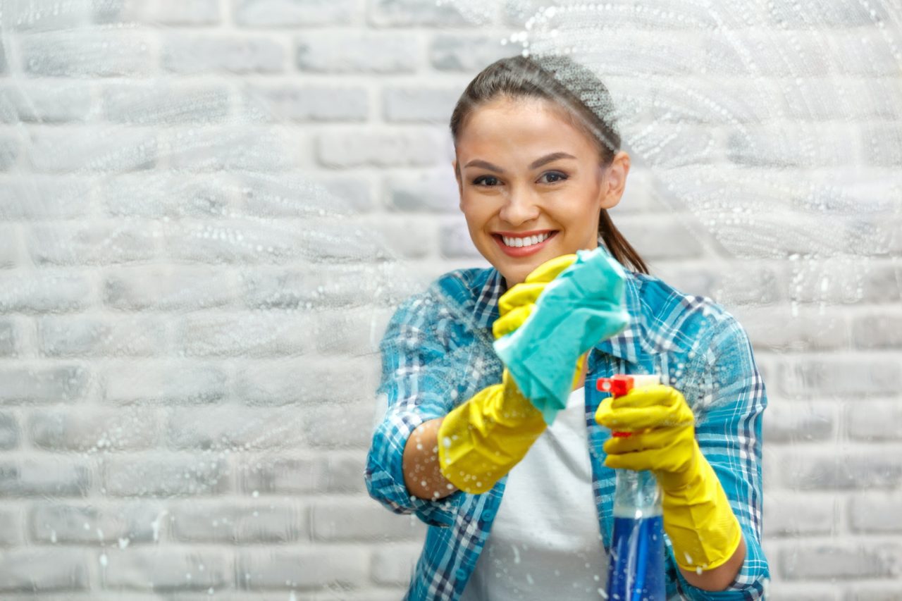 concept for home cleaning services in San Roman